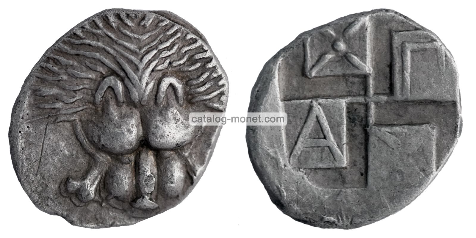 Монета голова льва. Диобол. Пантикапей Боспорское царство. Монеты Боспорского царства. Диобол монета. Античная монета диобол.